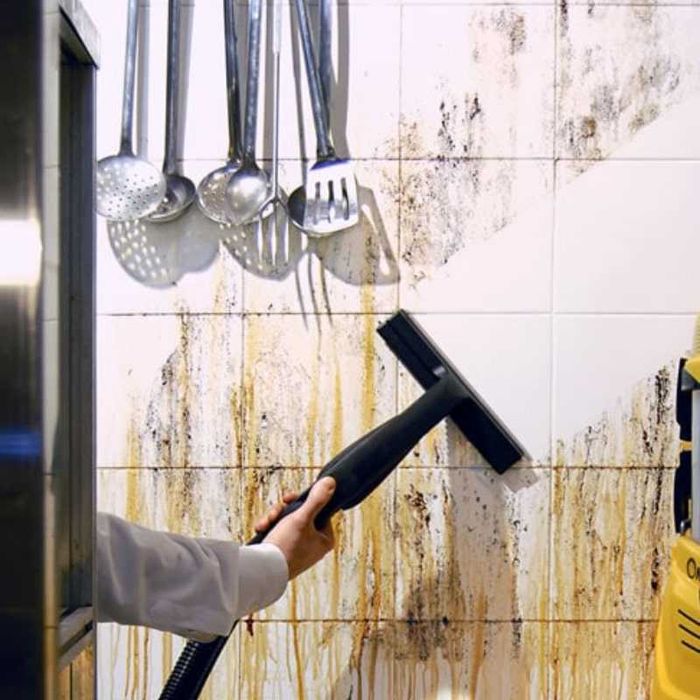 Firmā de curāţenie  Apartamente, Case   Birouri