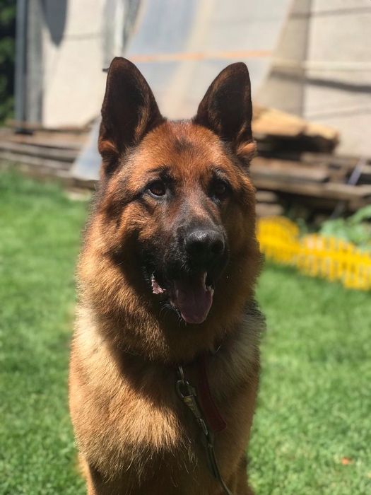 Мальчик ищет девочку