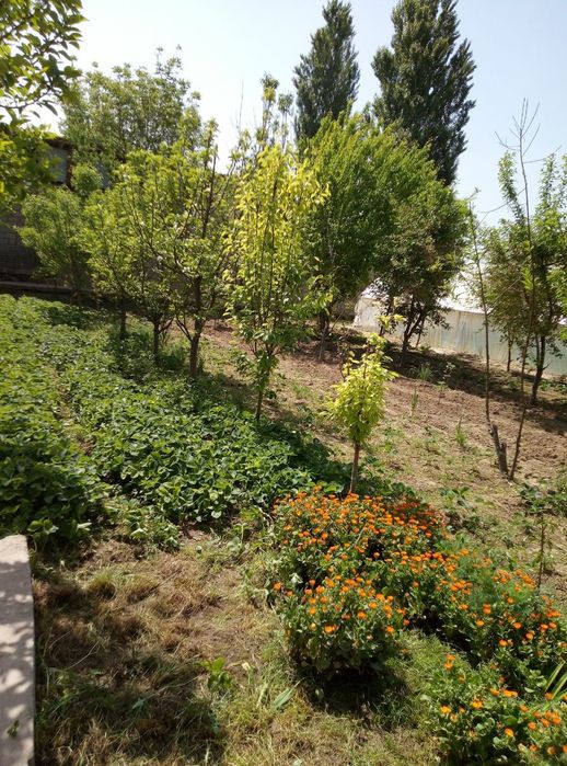 Продам участок 12 сотых  ориентир Черняевка