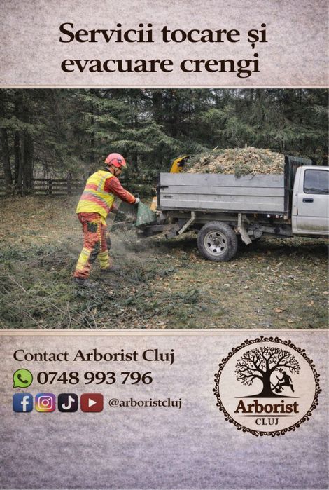 ARBORIST CLUJ – Servicii Profesionale Arboricultura si spatii verzi