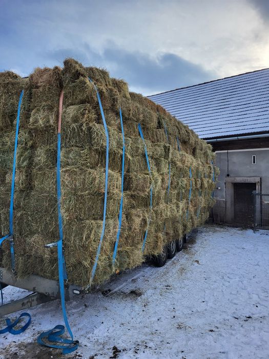 Vand baloti fan  coasa a 2