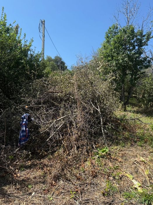 Отдам дрова бесплатно