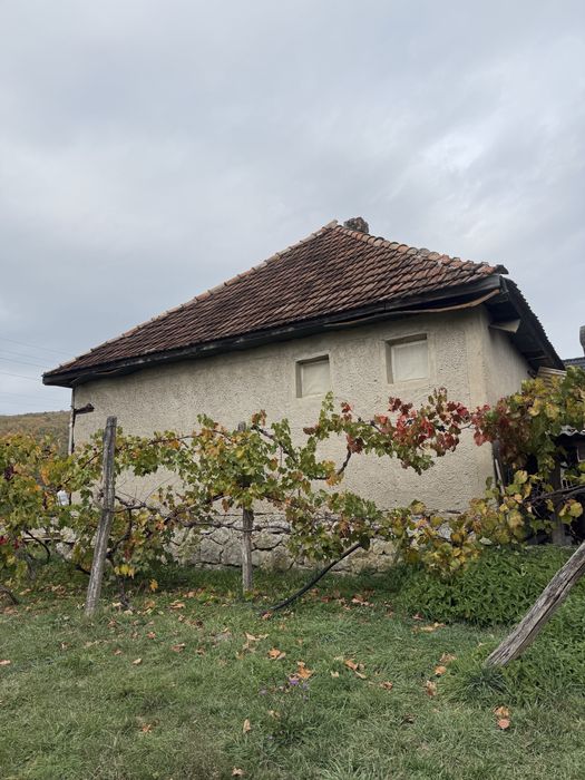 Vand casa in Pestis Judetul Bihor