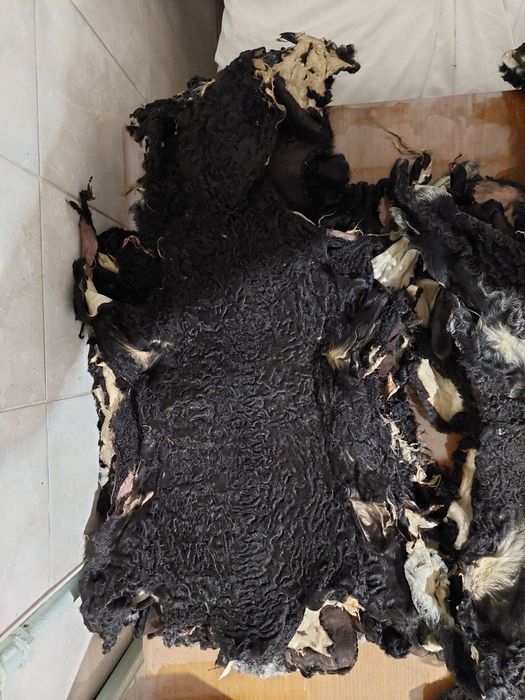 Каракуля шкурки натуральные