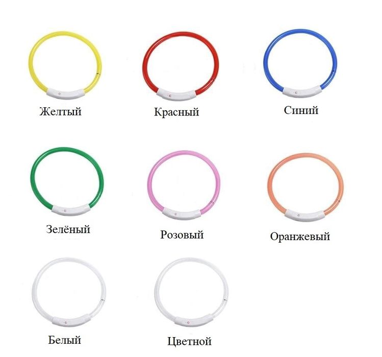 СВЕТЯЩИЕСЯ ошейники для собак