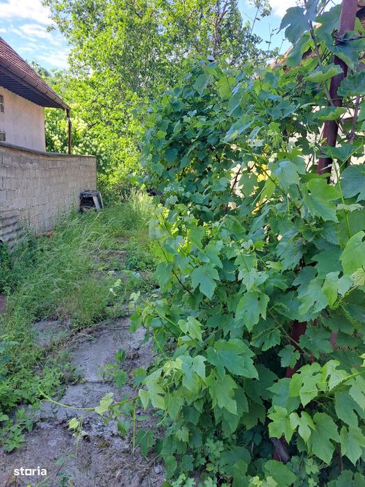 Casă cu 2 camere, bucătărie, baie în zona Aquapark Nymphaea