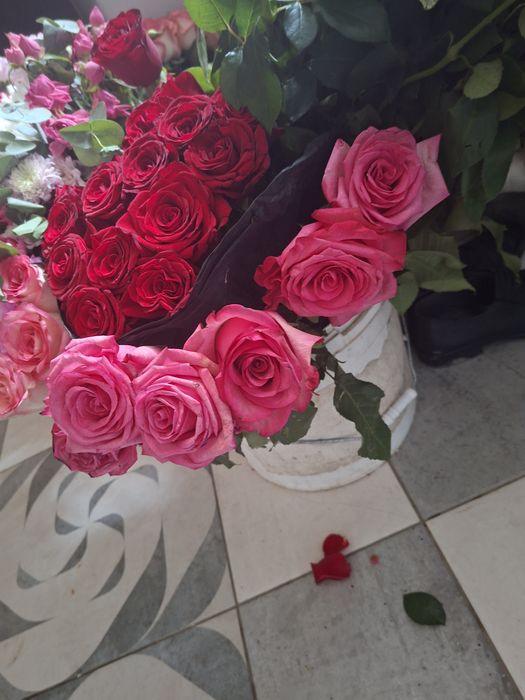 Продам цветы.куплены вчера