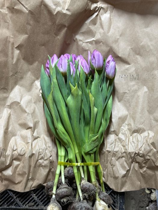 Букет тюльпаны королевские