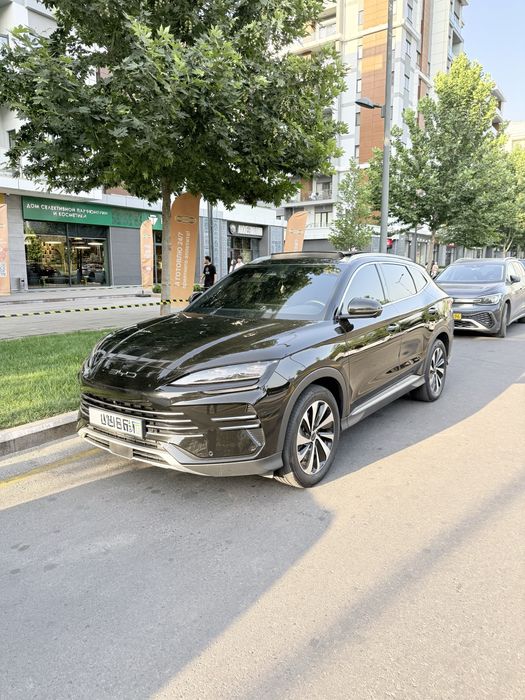 Byd Champion Gibrid 150 Full
