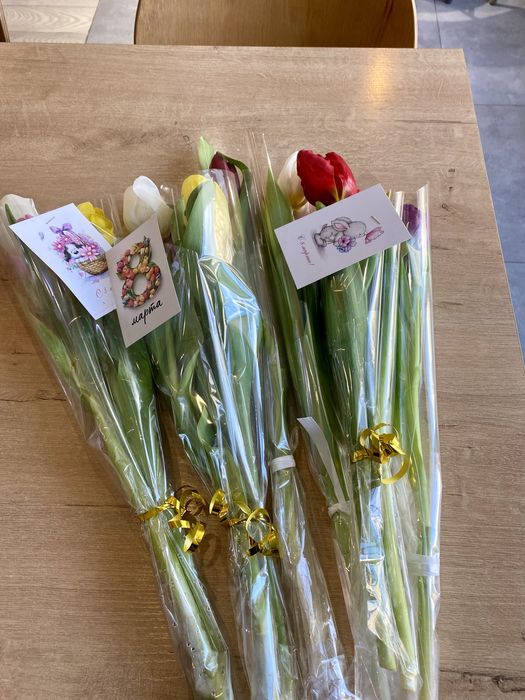 Тюльпаны свежее по низкий цене