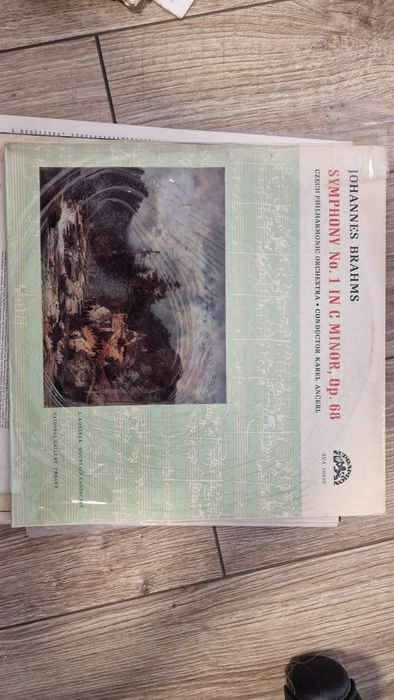 Vand discuri de vinil