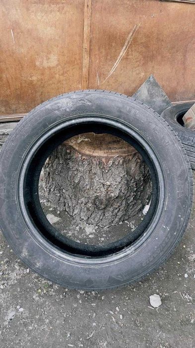 шины летние 19 размера