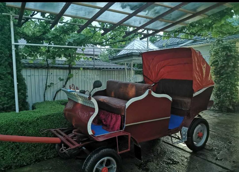 Anunț vânzare trăsură