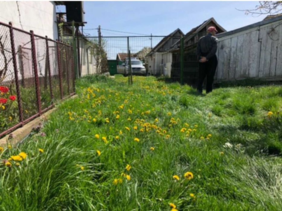 Vand Casa in Ianosda, casa renovata cu baie, gradina