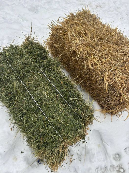 Vand baloti de paie si lucerna