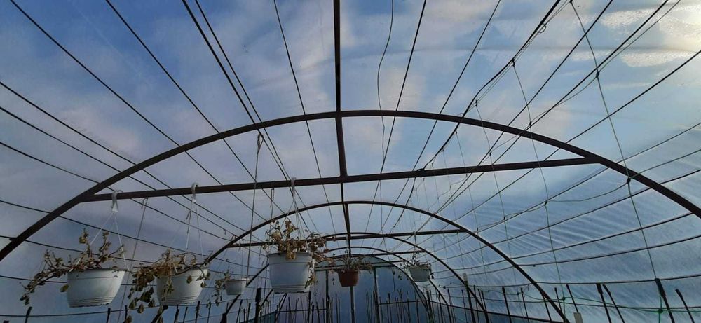 De vanzare sera Craiova