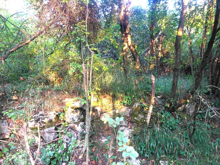 Парцел в регулация, с. Гергини,