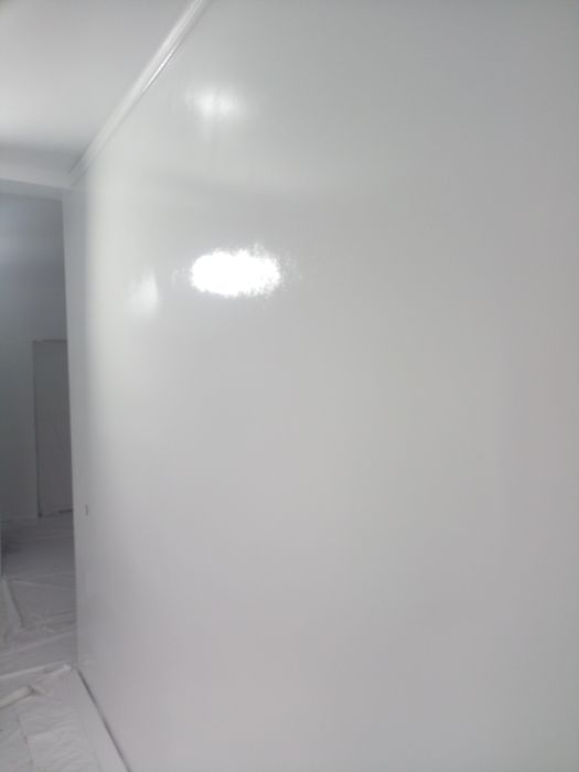 Execut zugrăveli profesionale