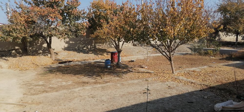 Срочно уй сотилади 6 сотихли 6 хонали вариантлар бор килишамиз