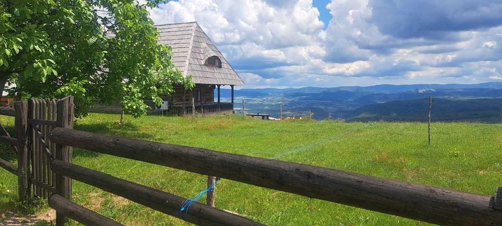 Teren Premium Intravilan Șuncuiuș (Pojorâta) - Ideal Glamping / Cabane. Panoramic, Pădure, Utilități