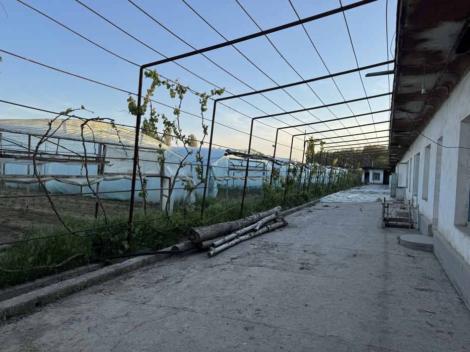 Yangiyol tumanida 65 sotix tayyor ferma va teplitsa sotiladi