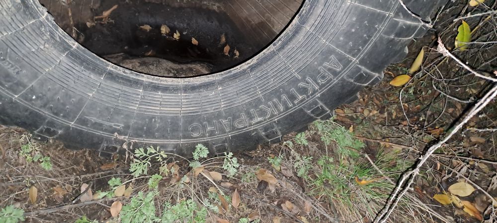 Продам шины низкого давления