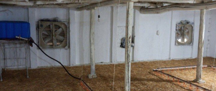 Uy-joy, tovuqxona sotiladi 5.5 sotix hamma sharoitlari bor tovuqboqish