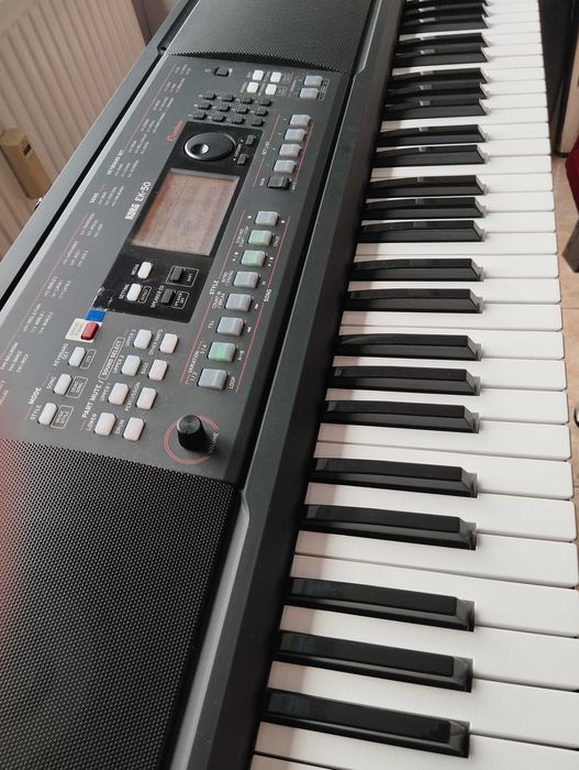 Acordeon ROSITA 96 bași