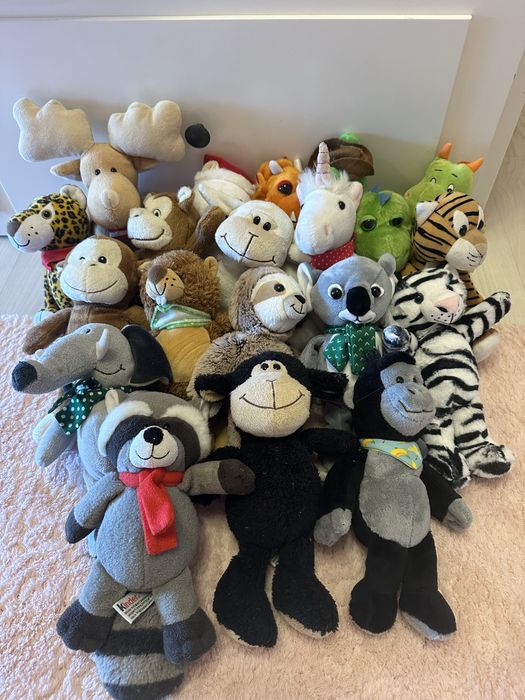 Kinder plusuri 20 lei