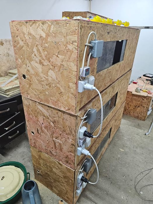 Брудер для цыплят