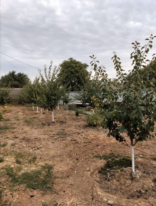 Дом продаётся 12 соттык ЖД Вокзалда