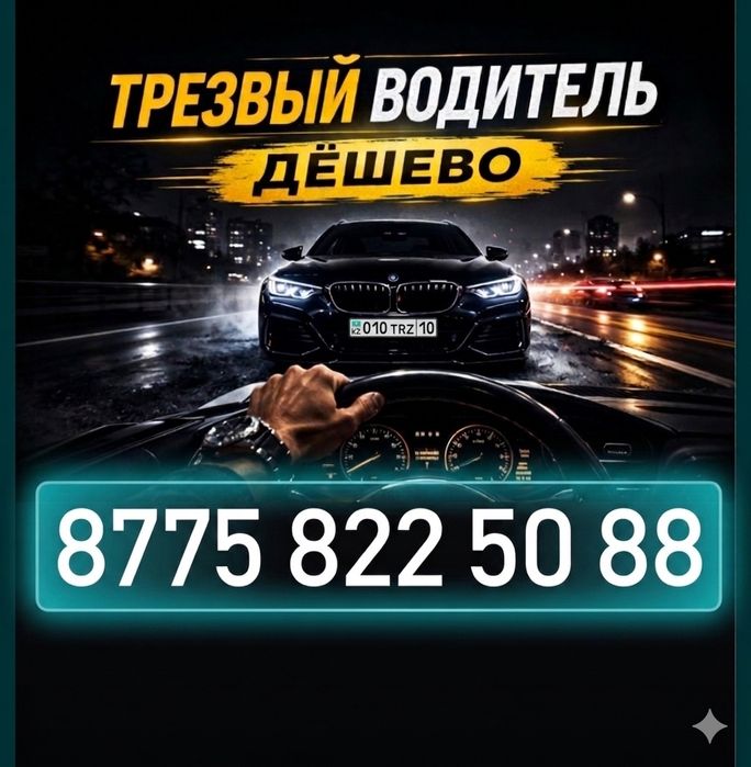 Трезвый водитель