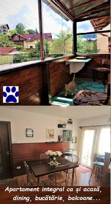 Cazare de tranzit spre litoral sau sejur montan Azuga 150/camera apart vilă 3 stele integral 4-6 persoane