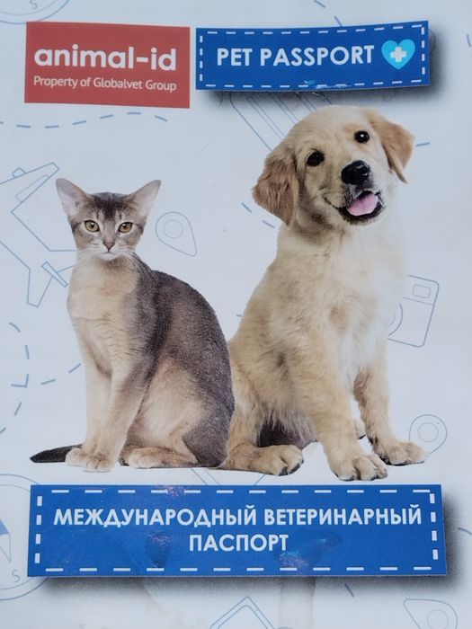 Хаски кушиги тегин