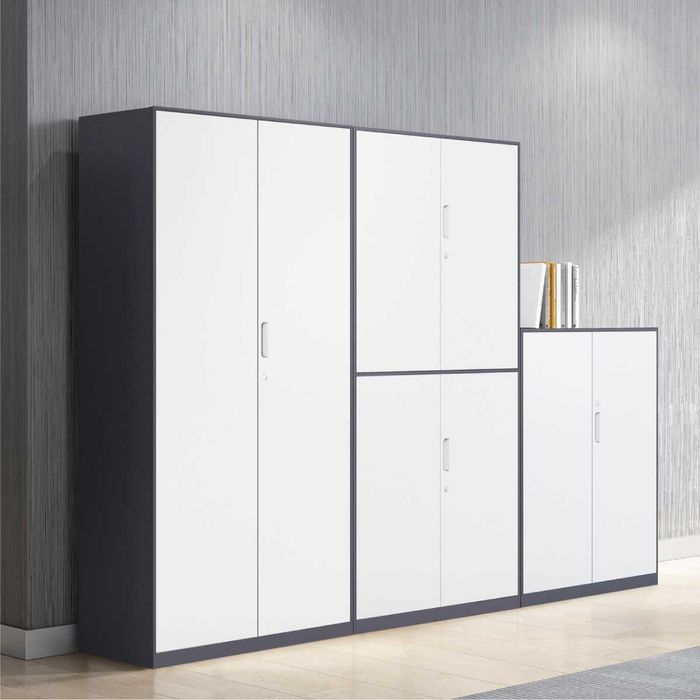 Ofis xonalari uchun universal shkaf | Универсальный офисный шкаф