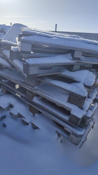 Поддоны продам по