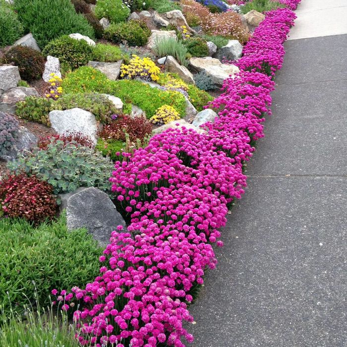 Садовник Аграном.Посадка газонов,