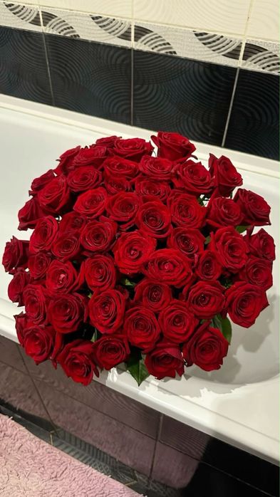 свежые розы 51 краснын 15к