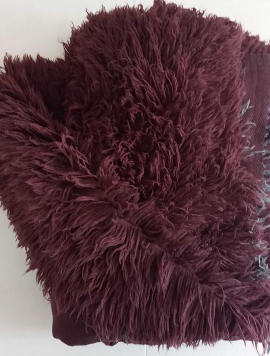 Кафяв вълнен китеник