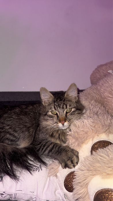 Рошаво момче търси своите Осиновители