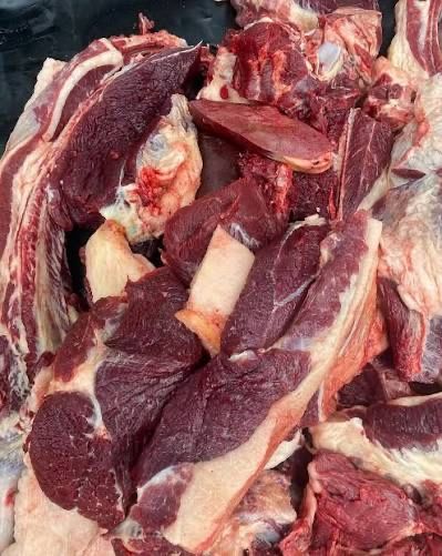 Оңтіүстіктің жылқы еті халал жілік