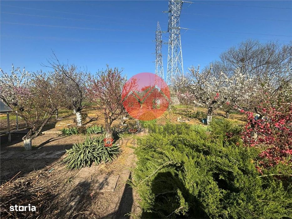 Afacere la cheie, Pensiune Tulcea 9 Mai cu deschidere la balta