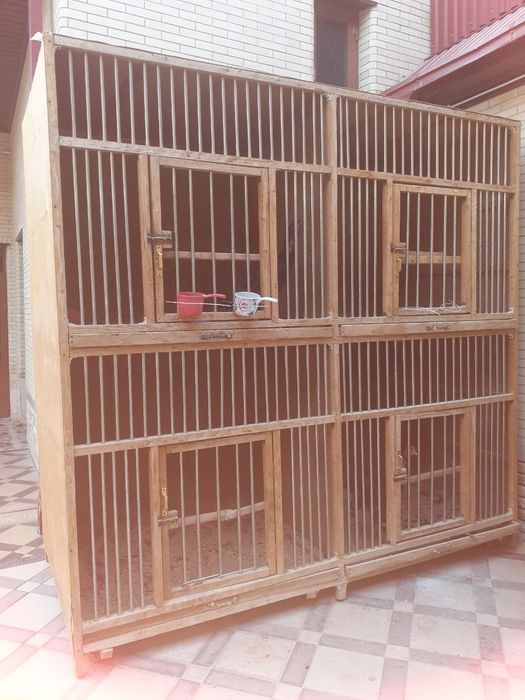 Дакан хурозлар ва мокйонлар учун ажойиб катак 2000,000