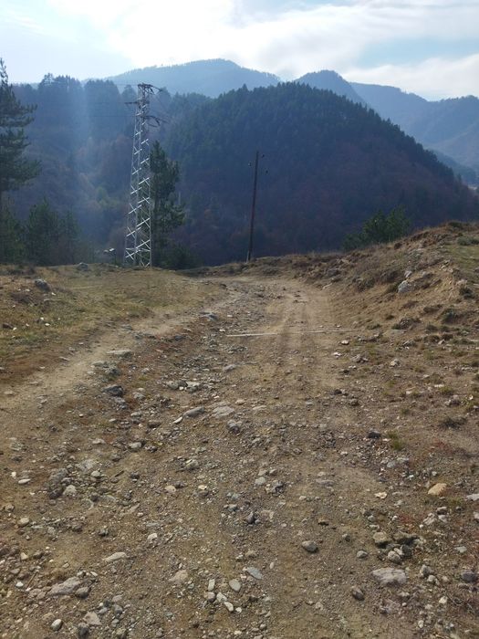 Продава се Парцел в Девин - 30000 кв.м за 42 €/кв.м - Снимка #5