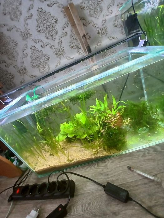 Продам аквариум 60 л с рыбками