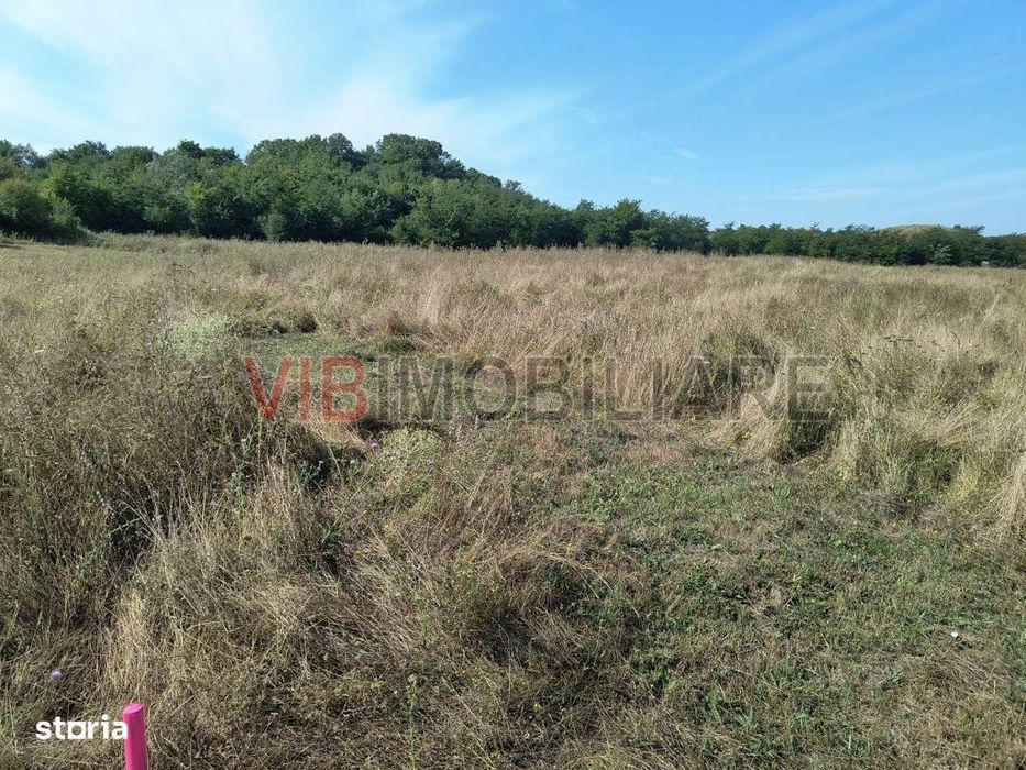 Baicoi/ Saramura/Teren investitie 7500 mp/ d_68