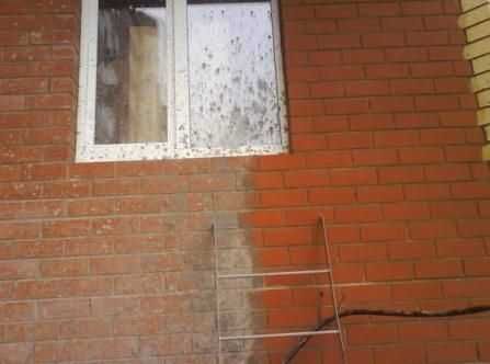 Очиститель фасадов Типром Плюс