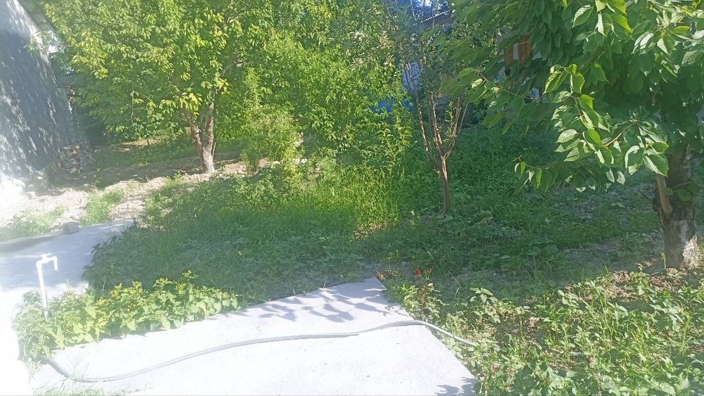 Хамма дакумент бор