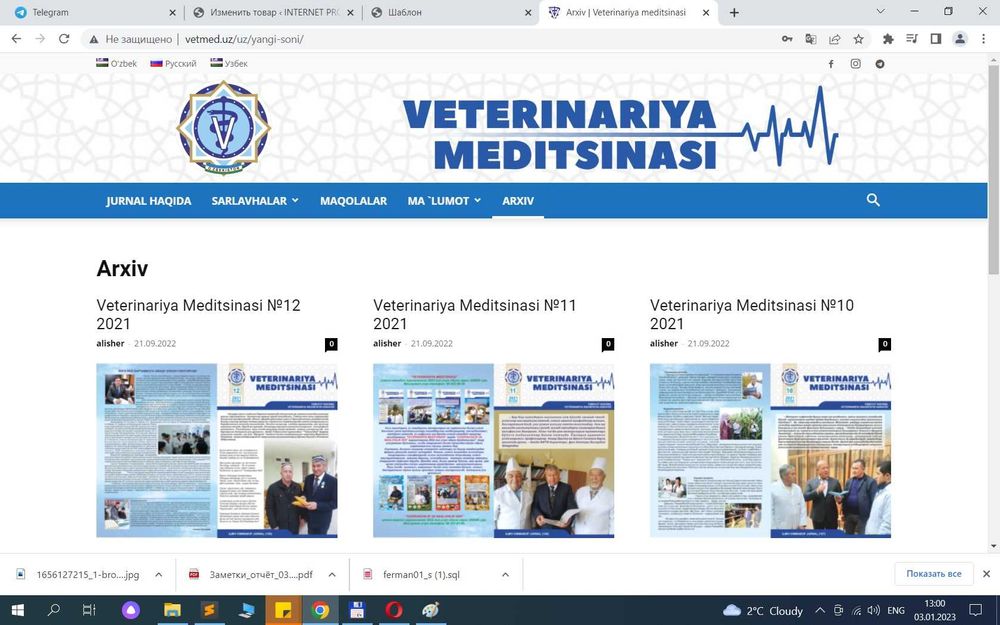 Предложения от программиста, разработка веб проектов