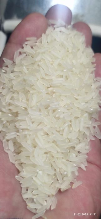 Gold lazer хоразм